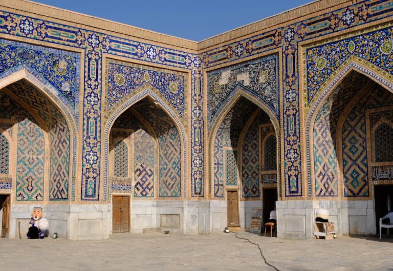 饅化的現象與影響報導