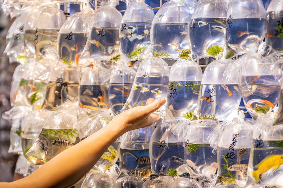 時尚又實用：揭示 Tote Bag 在香港生活中的魅力